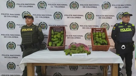 robo-abuela-campesina-aguacates