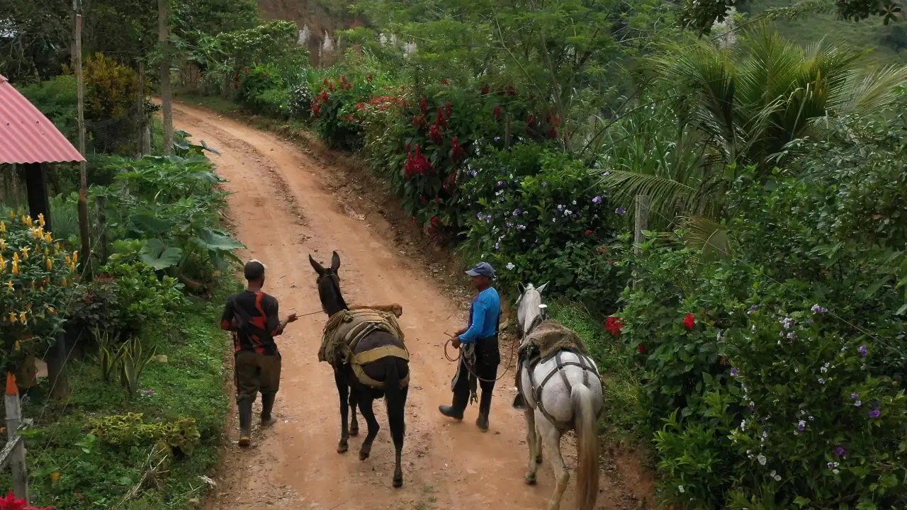 Entrega de tierras a familias campesinas en Cáceres entrega-de-tierras-cáceres