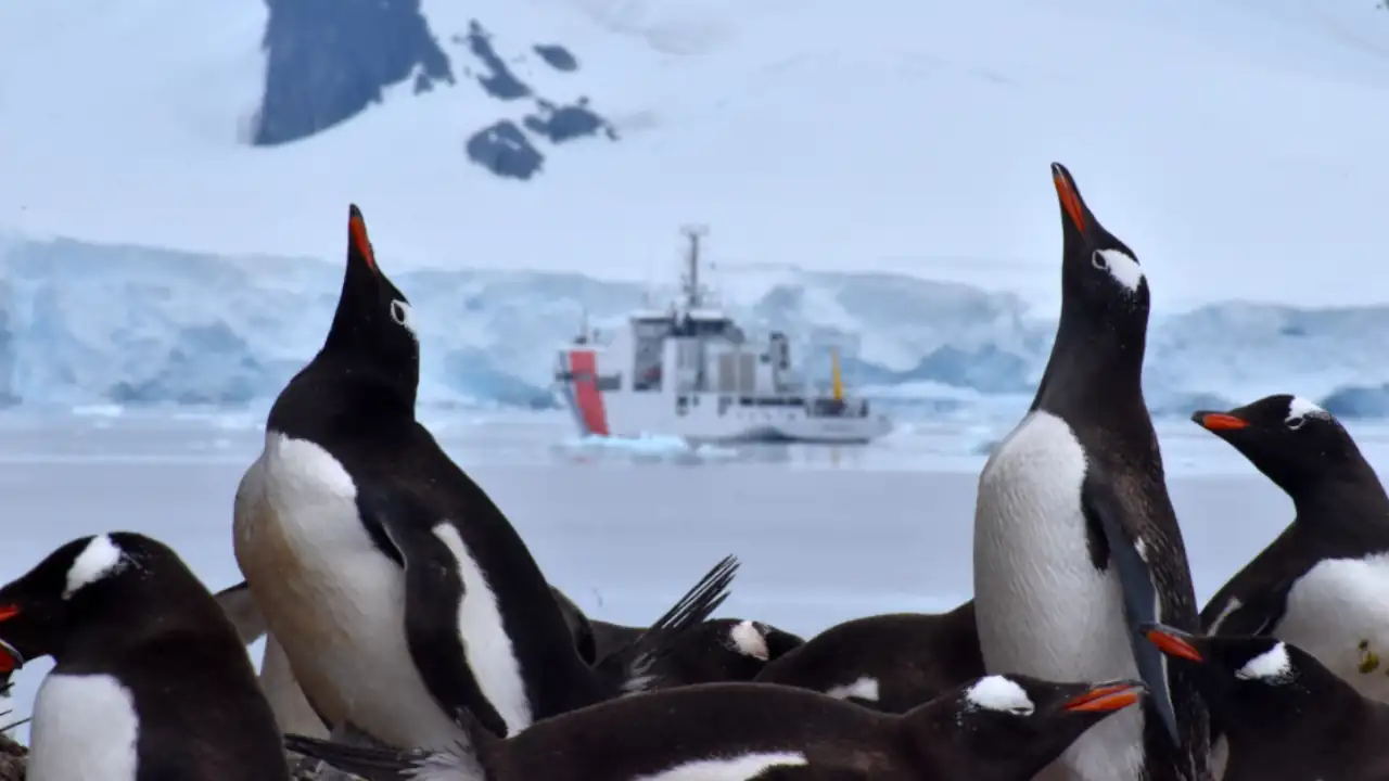 Colombia culmina expedición científica marina a la Antártica con el ARC "Simón Bolívar"