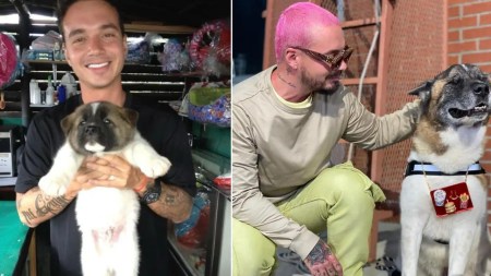 J-Balvin-conmueve-a-sus-fans-con-la-emotiva-despedida-a-su-querido-y-fiel-amigo-Enzo