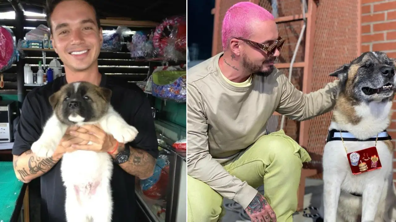J-Balvin-conmueve-a-sus-fans-con-la-emotiva-despedida-a-su-querido-y-fiel-amigo-Enzo