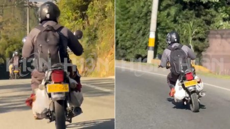 Gallinas moto El Retiro