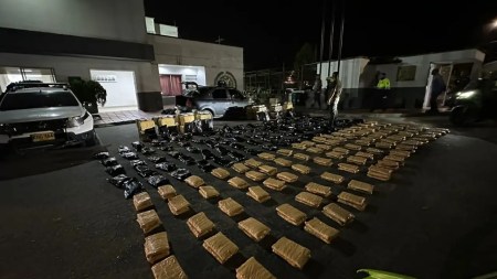 Media tonelada de marihuana fue incautada en vías del Suroeste de Antioquia -Media-tonelada-de-marihuana-fue-incautada-en-vias-del-Suroeste-de-Antioqui