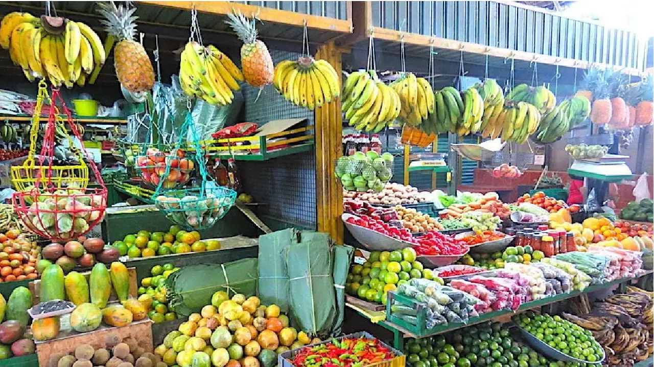 alimentos