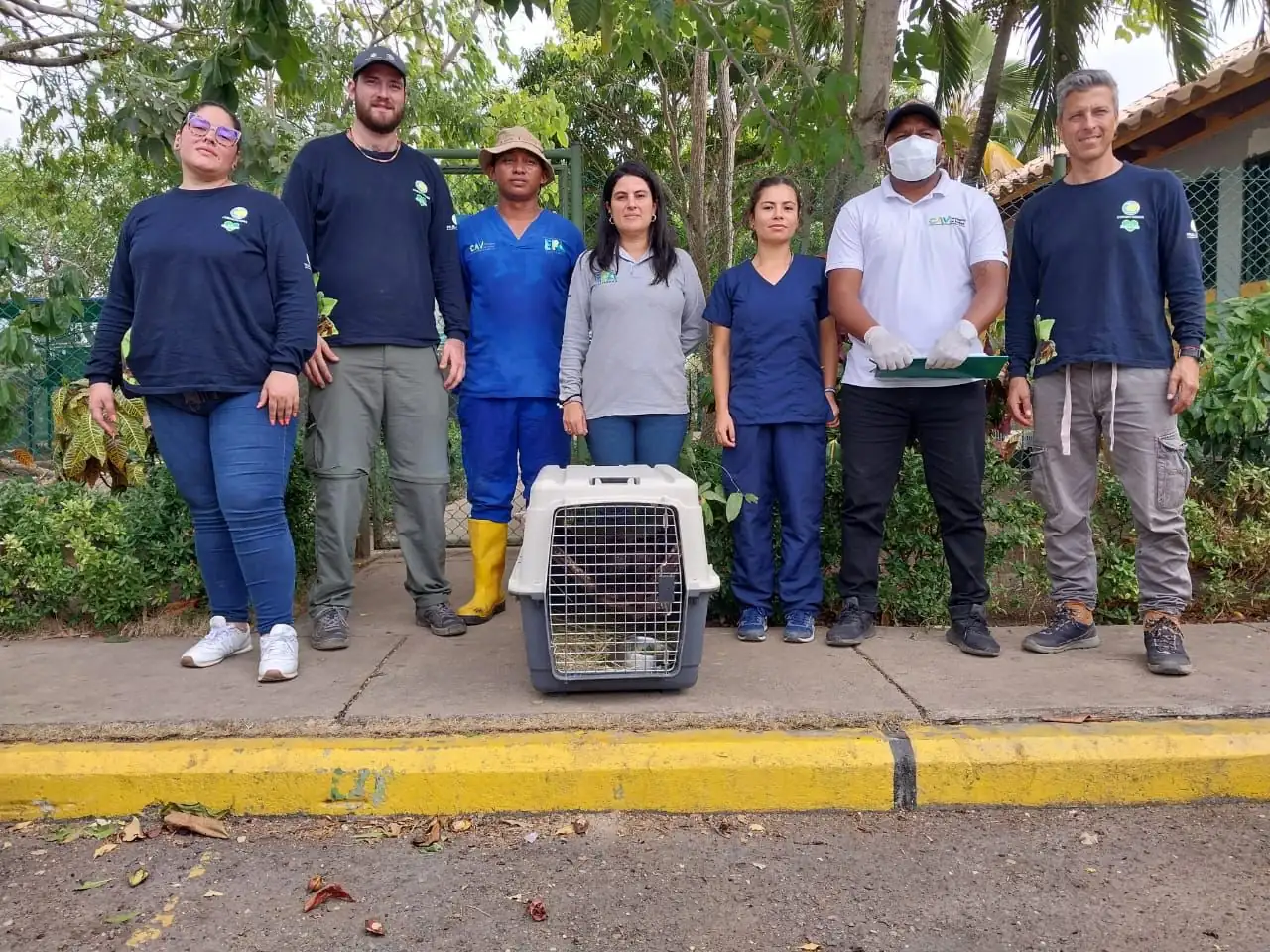 25-animales-silvestres-que-fueron-rescatados-en-Antioquia-seran-liberados-en-un-area-protegida-de-Cartagena