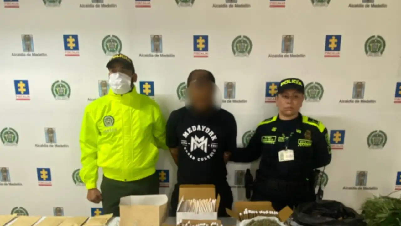 desmantelan-cultivo hidropónico