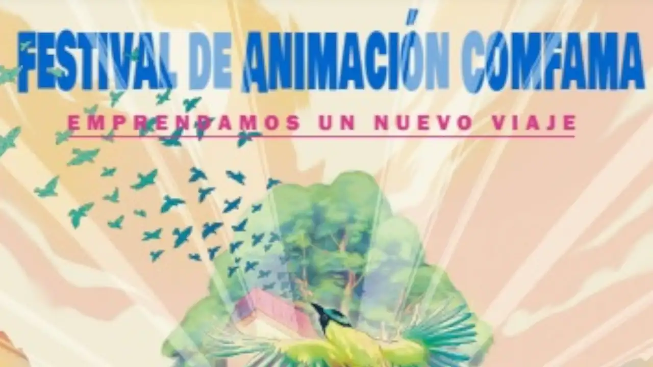 festivalanimacion