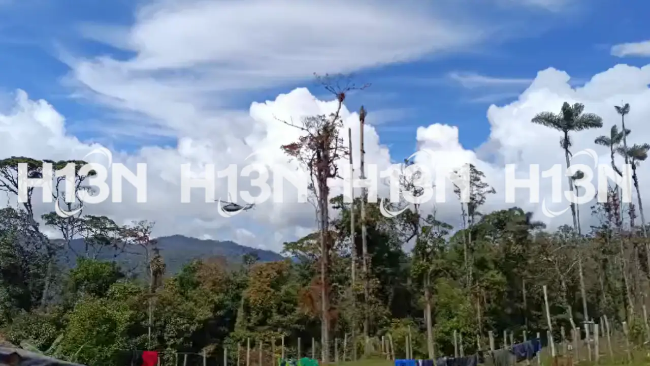 helicoptero-ejercito-estrella-unguia