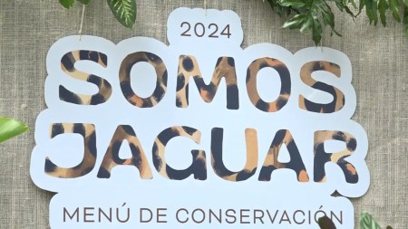 jaguar-parque-de-la-conservación