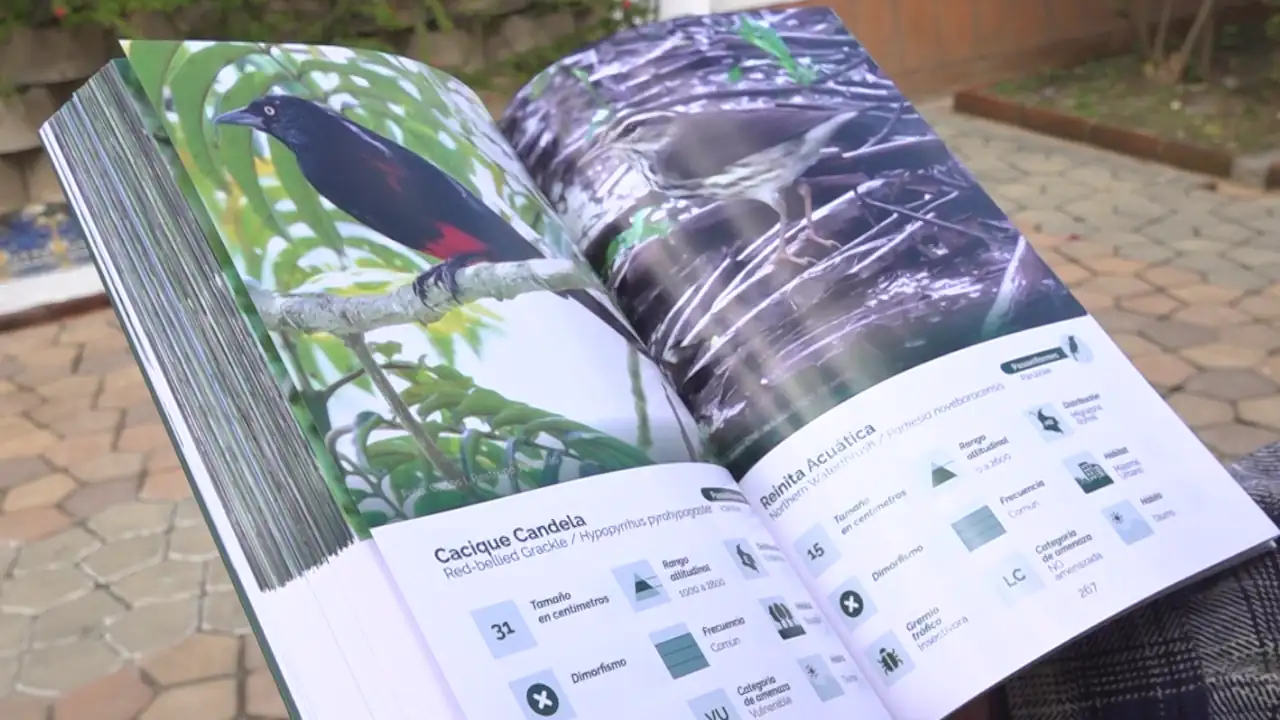 libro-aves-envigado