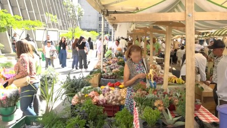 mercados campesinos-2024-alpujarra