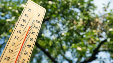 plantas-altas-temperaturas