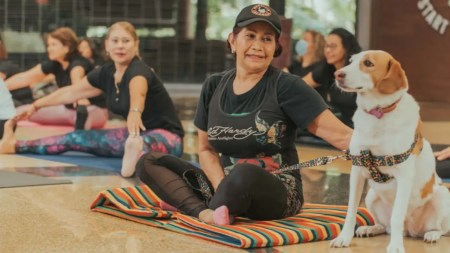 Feria de bienestar Vive Bien en Viva Laureles