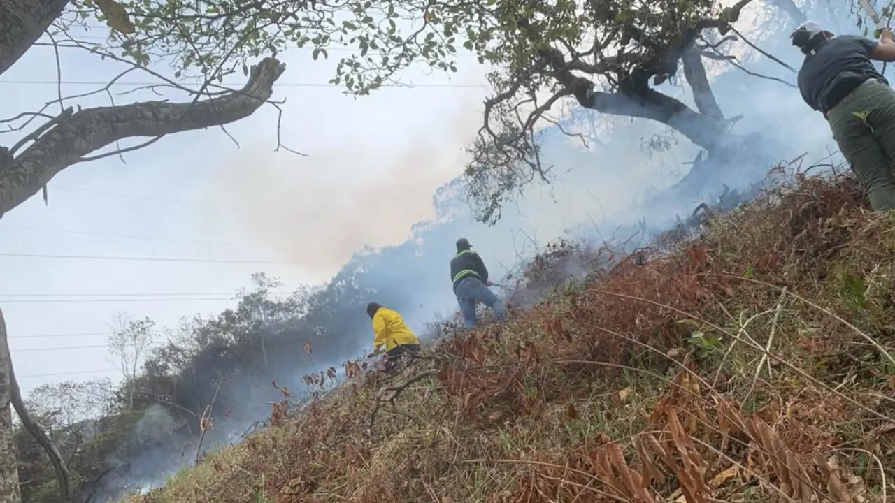 20 hectáreas han sido consumidas por el fuego en la vereda la Isaza de Barbosa, Antioquia