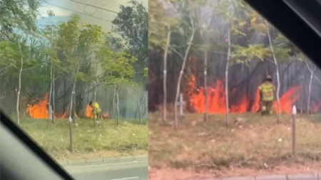 Bomberos Voluntarios de Bello atendieron incendio de cobertura vegetal