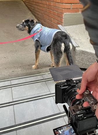 Captura de pantalla 2024 03 20 093311