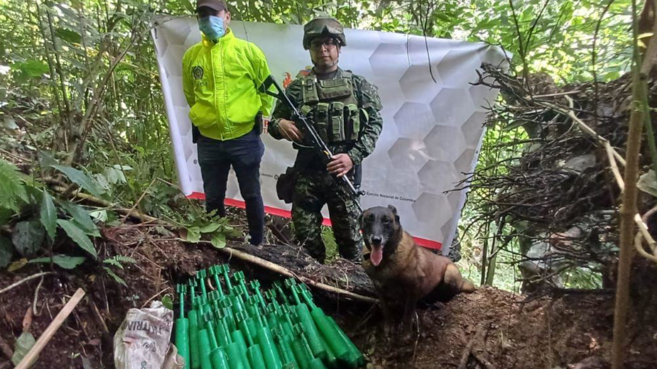 El Ejército de Colombia este 2024 ha logrado contundentes golpes a grupos armados