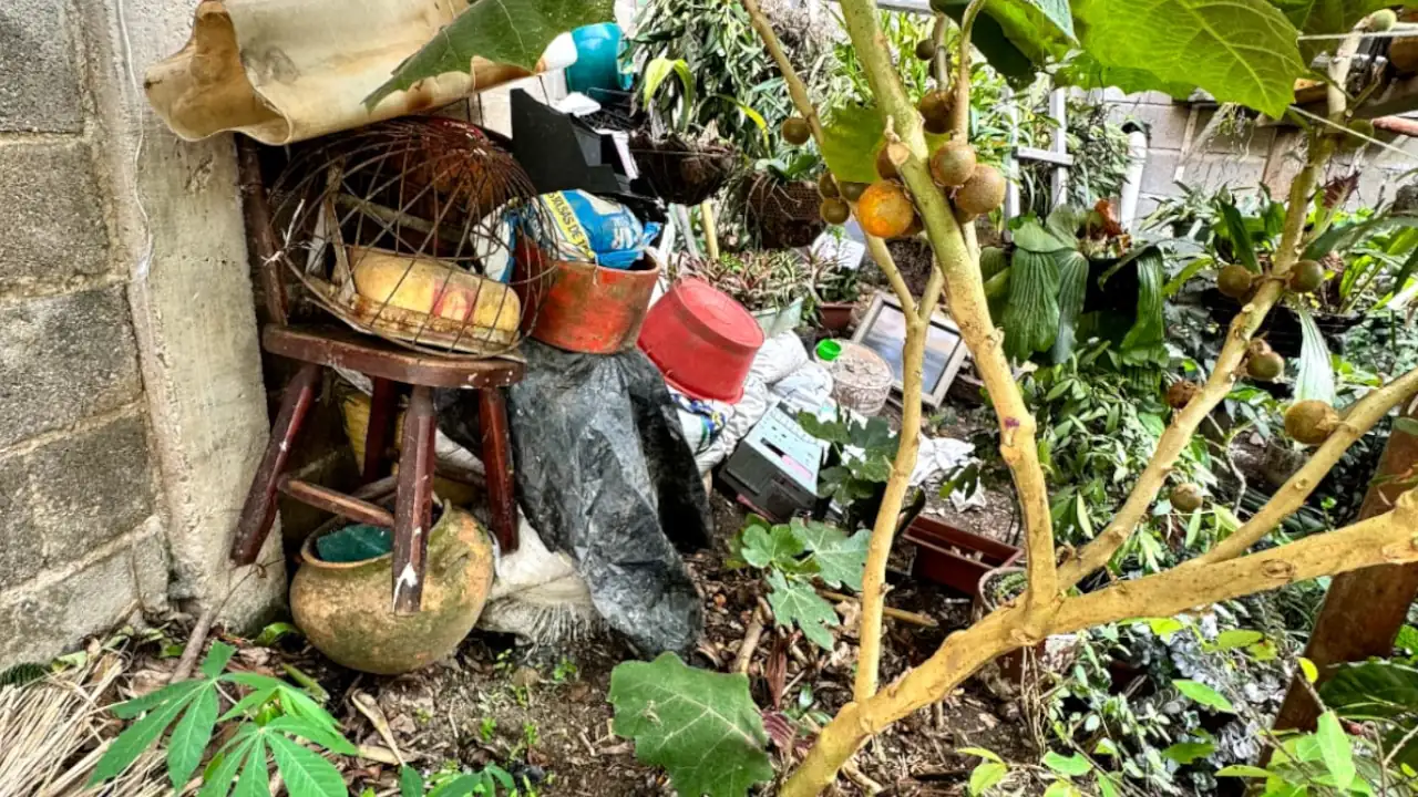 En La Estrella intensifican medidas contra el dengue