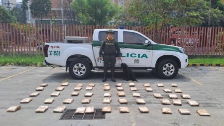 En-Sabaneta-incautan-3-mil-gramos-de-estupefacientes-que-pretendian-ser-comercializados-en-encomiendas