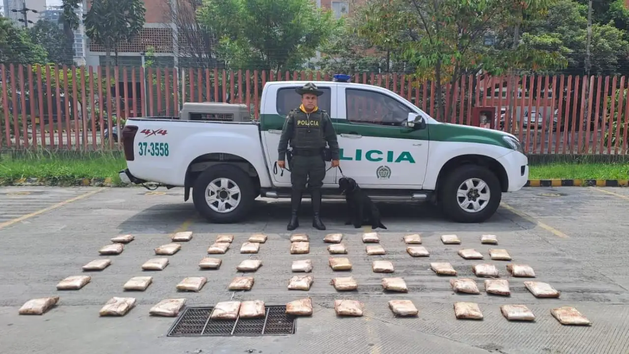 En-Sabaneta-incautan-3-mil-gramos-de-estupefacientes-que-pretendian-ser-comercializados-en-encomiendas