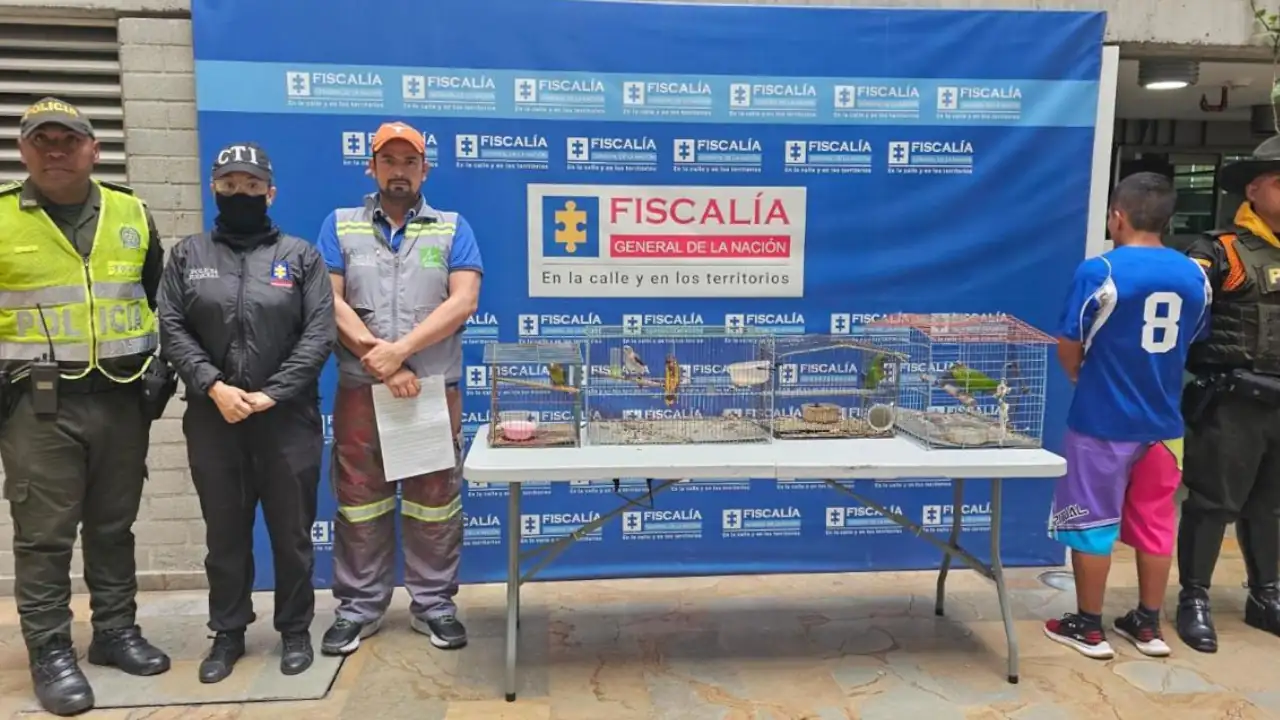 Policia-rescata-a-12-animales-silvestres-que-estaban-en-cautiverio-en-casas-de-Medellin