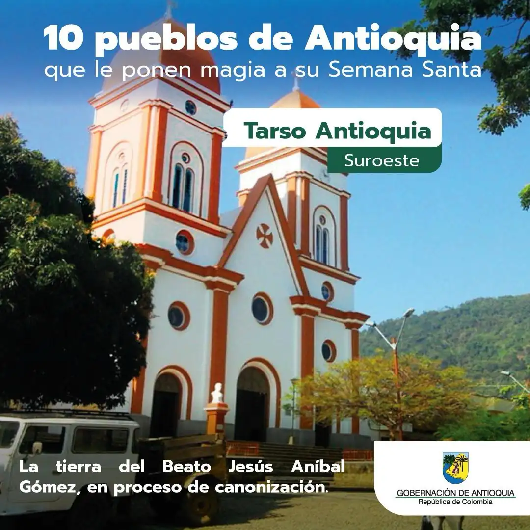 Tarso anntioqua