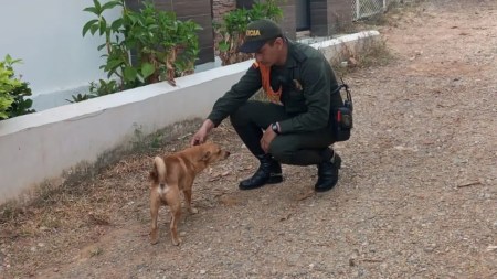 Policía rescata a Doky, un perrito que fue amarrado con cinta a un poste