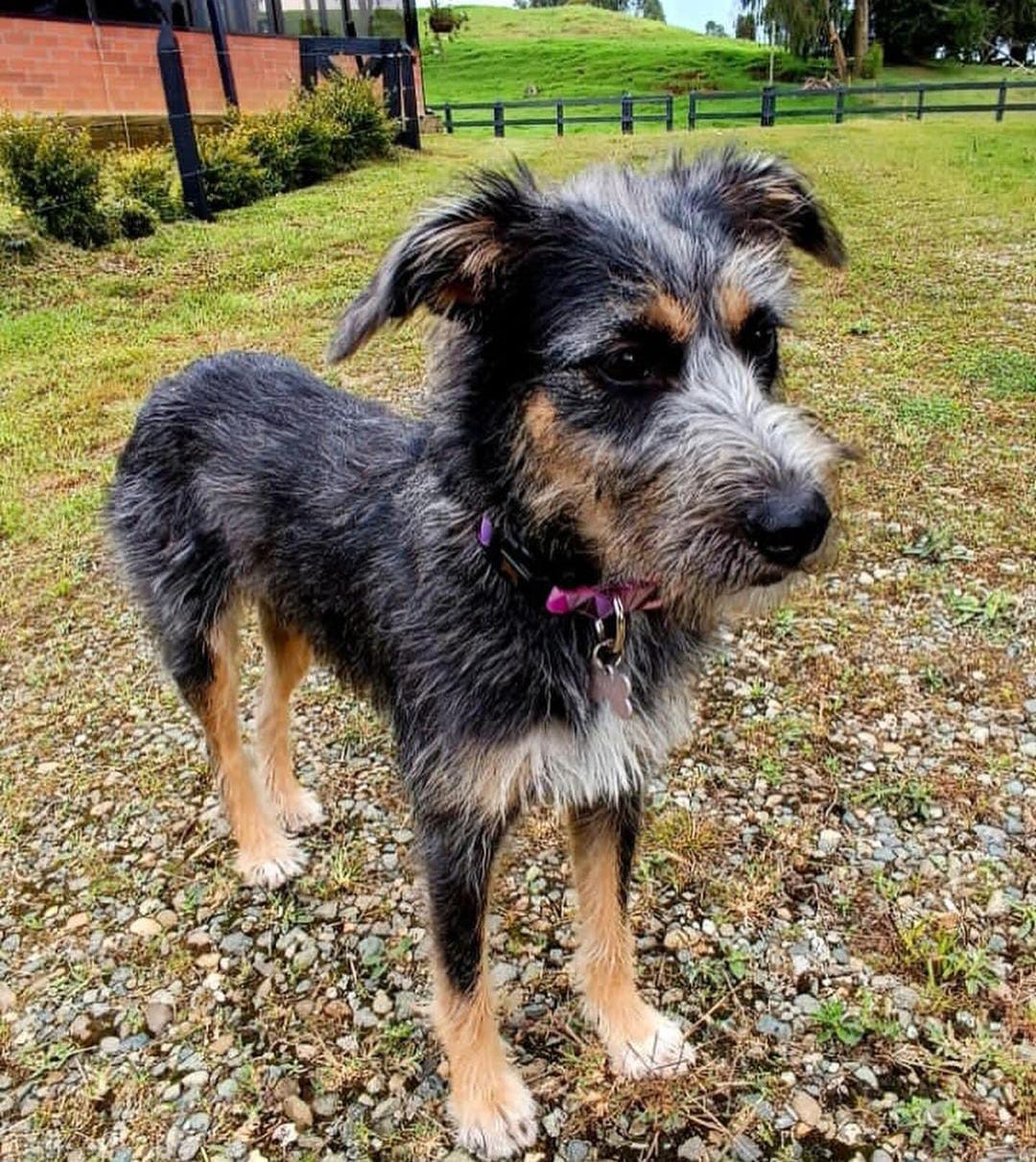 WhatsApp Image 2024 03 20 at 10.26.01 AM