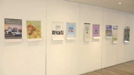 calendarios-exposicion-comfenalco-de-la-playa