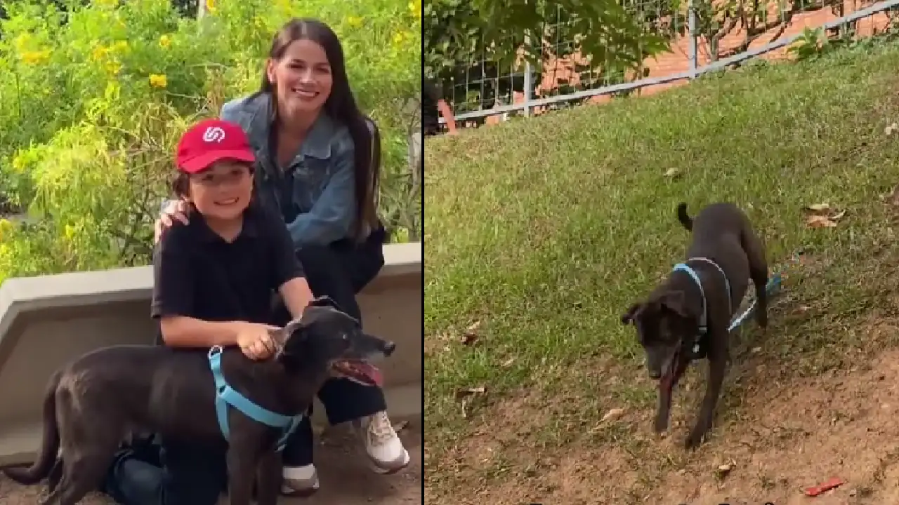 Esta es la linda familia que adoptó a Pantera: la perrita llena de canas que llevaba 10 años buscando un hogar familia pantera