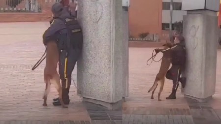 Video| ¡Qué hermoso! Guarda de seguridad fue captado dándole mucho amor a un perrito ¡Qué hermoso! Guarda de seguridad fue captado dándole mucho amor a un perrito