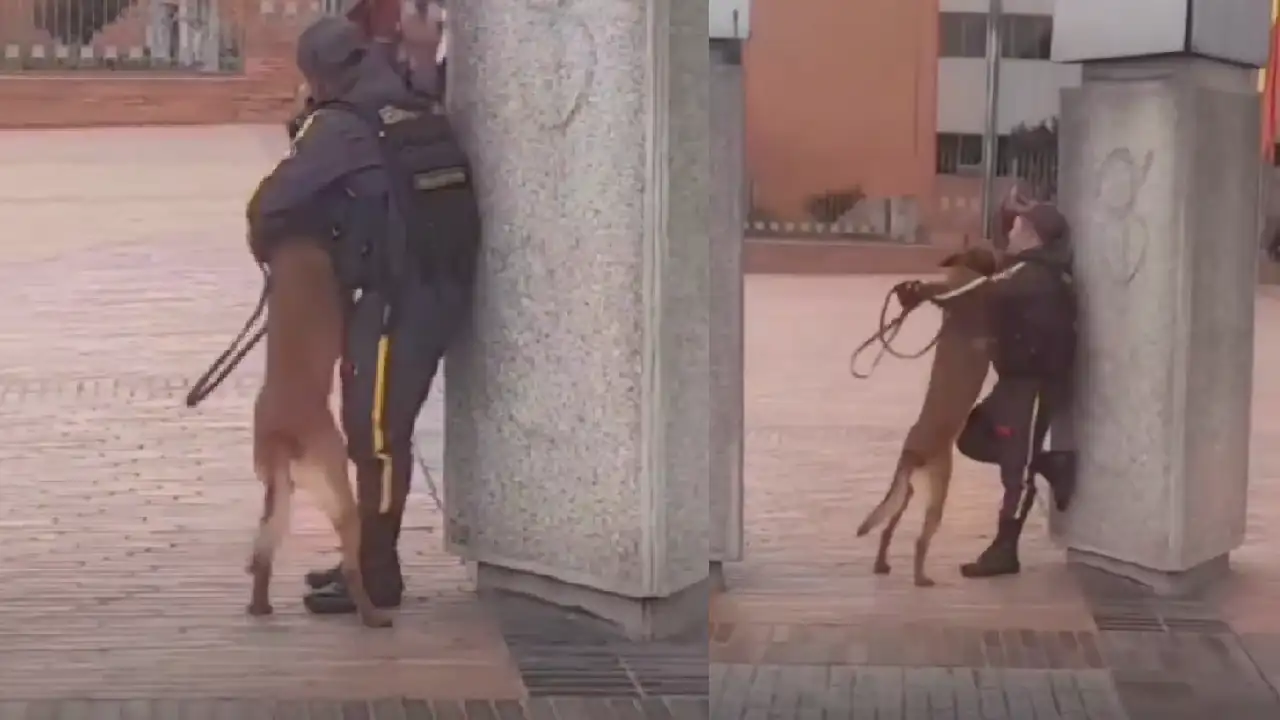 Video| ¡Qué hermoso! Guarda de seguridad fue captado dándole mucho amor a un perrito ¡Qué hermoso! Guarda de seguridad fue captado dándole mucho amor a un perrito