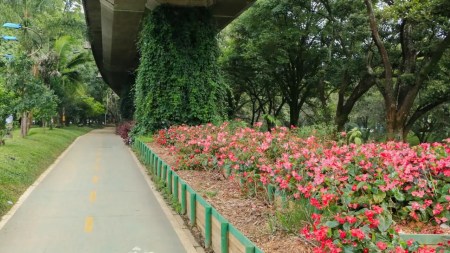Medellín se une a la Hora del Planeta: apagón mundial por el medio ambiente