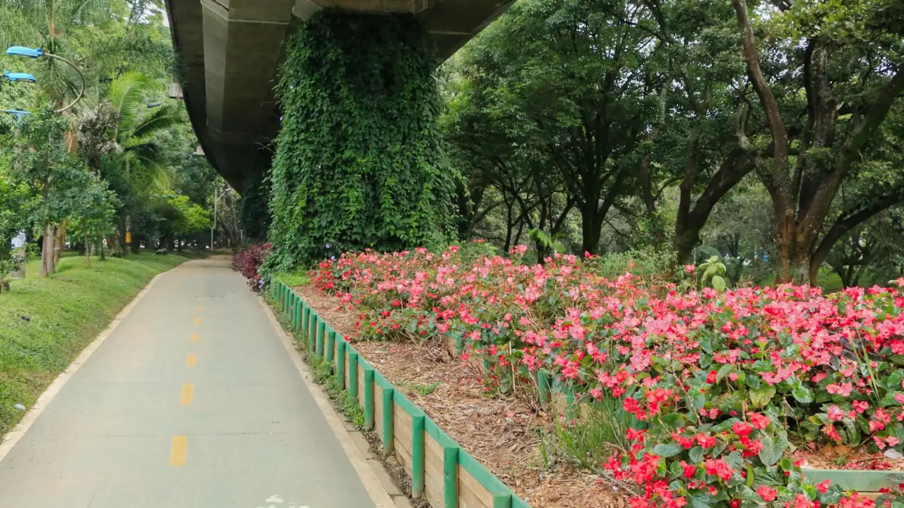 Medellín se une a la Hora del Planeta: apagón mundial por el medio ambiente