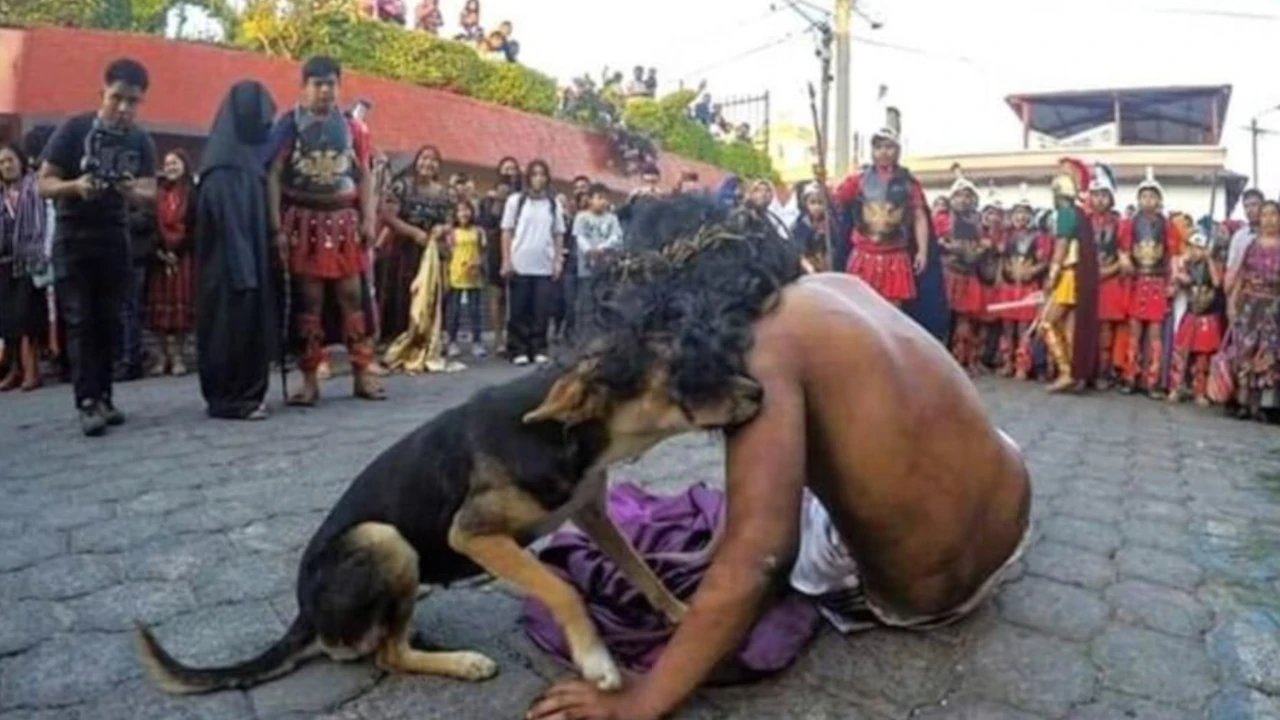 perrito abraza a jesus