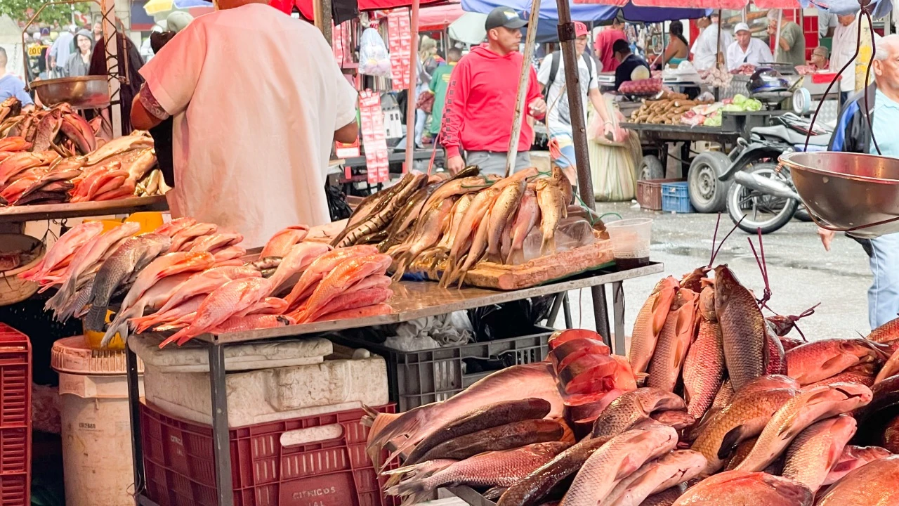 ¿Come pescado en Semana Santa? Pilas con una intoxicación