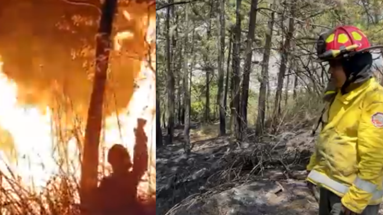 Incendio en el sector Santa Rita de Bello se reactivó