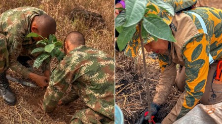 Alcaldía de Medellín y Ejército se unen para sembrar 1.500 árboles para la recuperación del Bosque de los Héroes