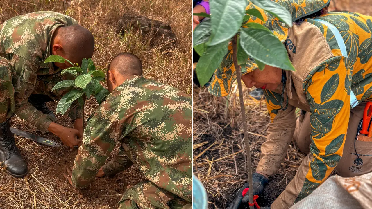 Alcaldía de Medellín y Ejército se unen para sembrar 1.500 árboles para la recuperación del Bosque de los Héroes