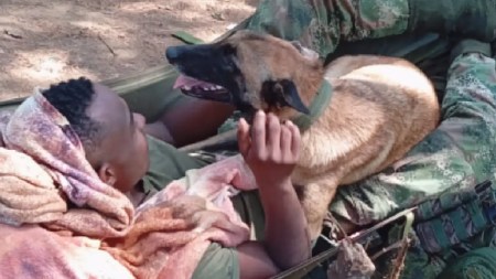 Video| ¡Que lindos! Esta es la relación que tienen un soldado y su leal compañero perruno en la selva Video| ¡Que lindos! Esta es la relación que tienen un soldado y su leal compañero perruno en la selva