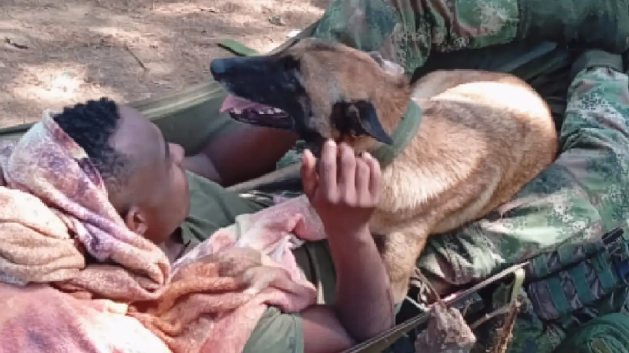 Video| ¡Que lindos! Esta es la relación que tienen un soldado y su leal compañero perruno en la selva