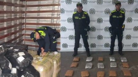 17 mil dosis de marihuana fueron encontradas por la Policía en la Terminal del Sur 17-mil-dosis-de-marihuana-fueron-encontradas-por-la-Policia-en-la-Terminal-del-Sur