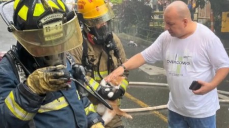 Bomberos-de-Itagui-rescatan-a-mujer-y-su-gatico-atrapados-en-el-incendio-de-una-casa