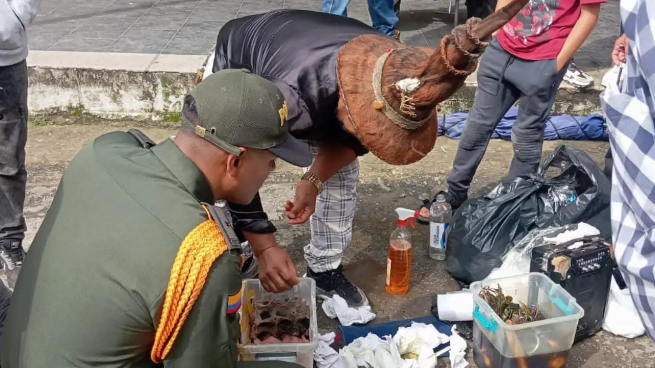 En El Santuario, capturan a presunto chaman que estaría vendiendo veneno de alacranes