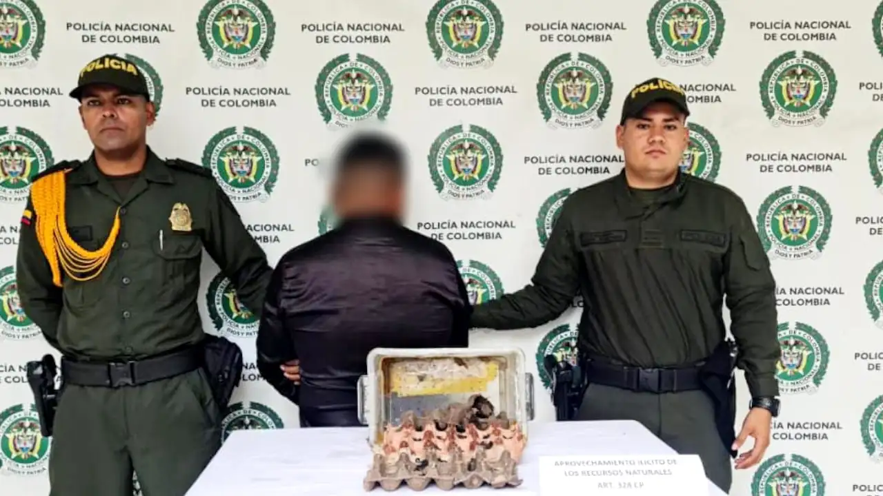 En El Santuario, capturan a presunto chaman que estaría vendiendo veneno de alacranes