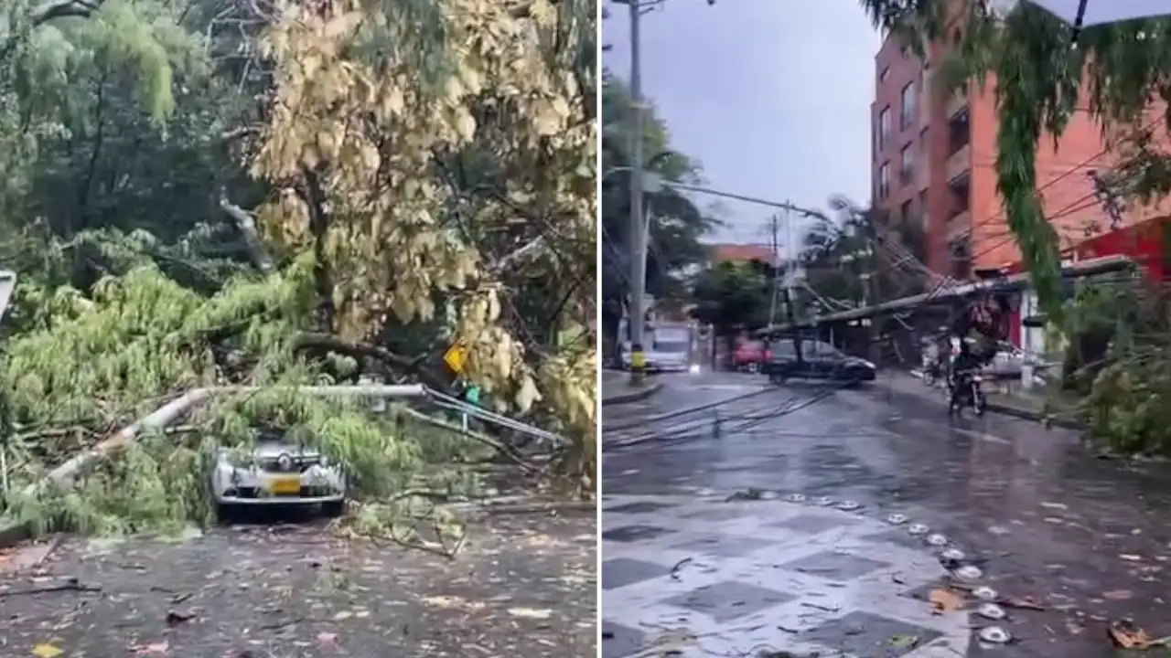 Continúa bloqueada la vía en la Glorieta de Agua Dulce en Envigado por caída de árbol Continua-bloqueada-la-via-en-la-Glorieta-de-Agua-Dulce-en-Envigado-por-caida-de-arbol.