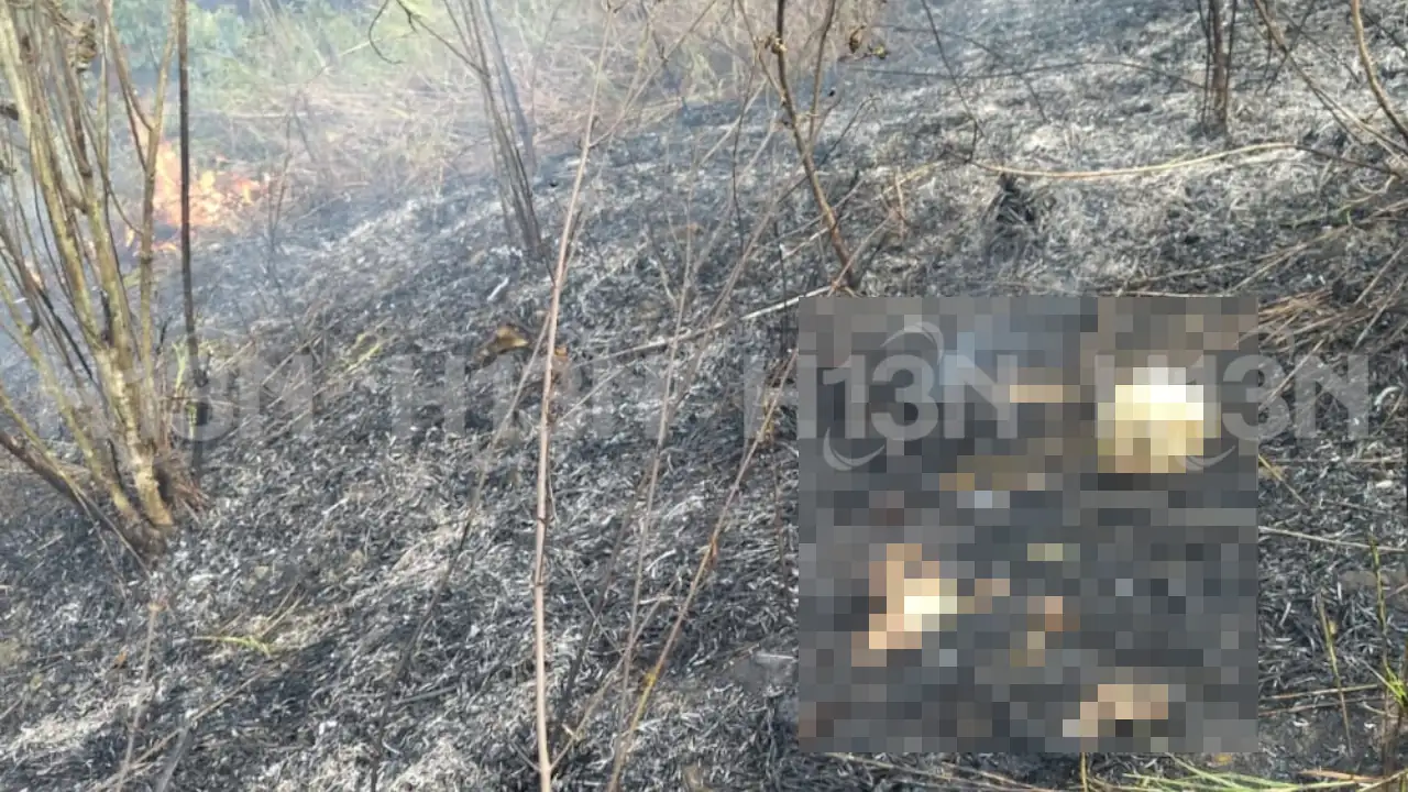 Durante-el-incendio-en-Bello-hallaron-restos-humano