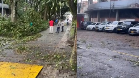 Fuertes-vientos-se-sintieron-en-el-Polideportivo-Sur-de-Envigado-gigantescas-ramas-cayeron.