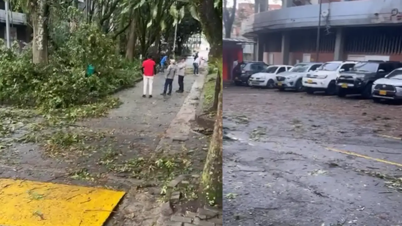 Fuertes vientos se sintieron en el Polideportivo Sur de Envigado, gigantescas ramas cayeron Fuertes-vientos-se-sintieron-en-el-Polideportivo-Sur-de-Envigado-gigantescas-ramas-cayeron.