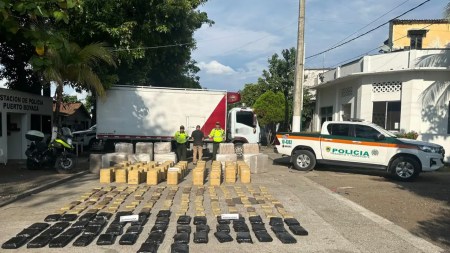 Policía del Magdalena Medio encuentra una tonelada de marihuana en cargamento de pollo Policia-del-Magdalena-Medio-encuentra-una-tonelada-de-marihuana-en-cargamento-de-pollo.